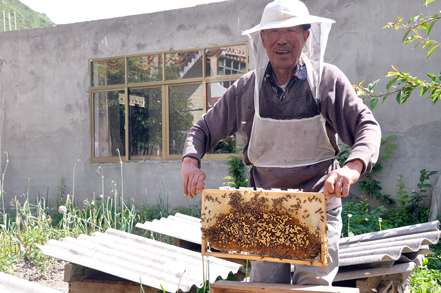 【砥礪奮進的五年】小金：下足“繡花”功夫 產業扶貧鋪就致富路