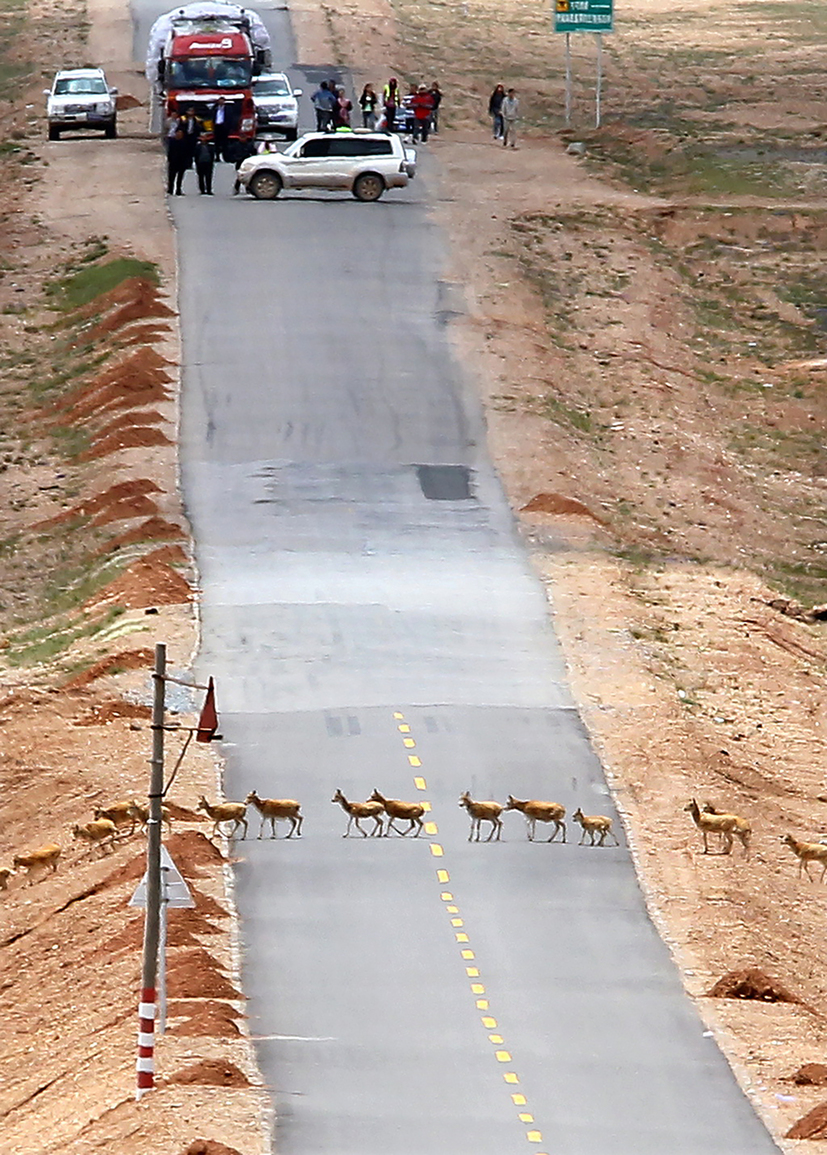 35周年社慶優秀照片十幅