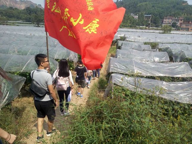 網絡媒體走轉改｜桂林全州：“紅＋綠”調出全面小康金色希望