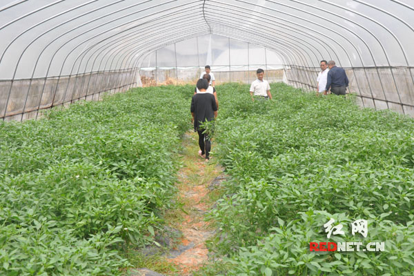 【網絡媒體走轉改】永順三家田村：小基金大作用 留下永不撤走的扶貧隊