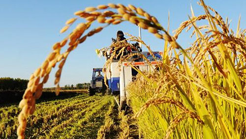 【兩會(huì)時(shí)評】供給側(cè)結(jié)構(gòu)性改革要“加減法”一起做