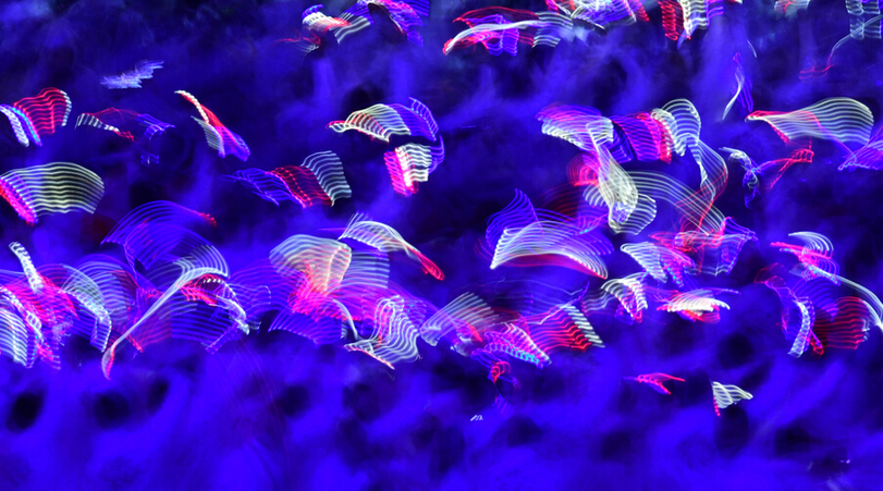 里約奧運會今日收官 中國日報網直擊閉幕式