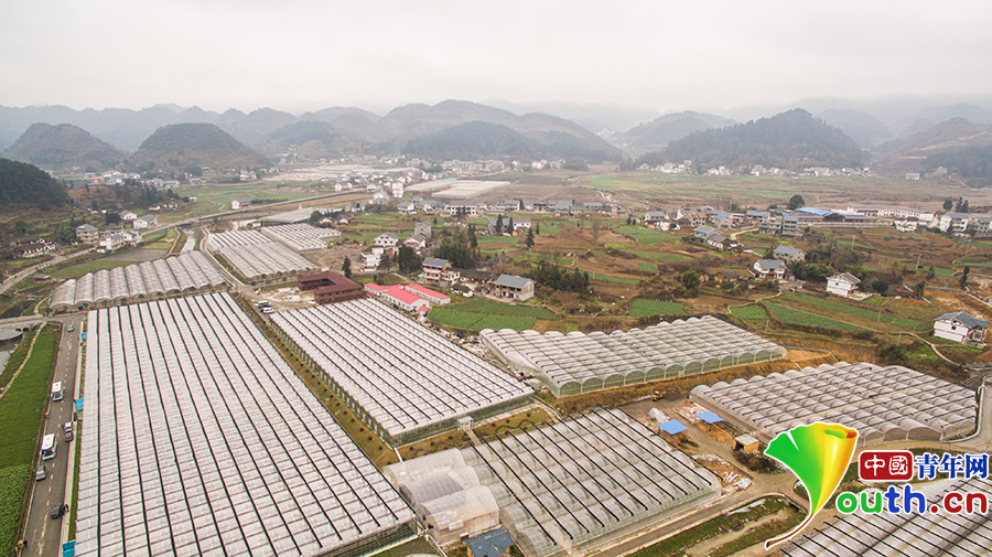 看花茂脫貧,習(xí)大大為何在這里找到了鄉(xiāng)愁