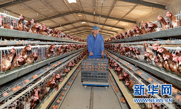 歷史的選擇，人民的期待