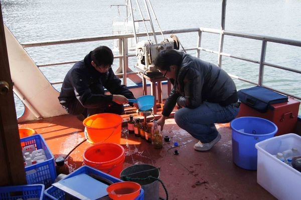 【治國理政新實踐·浙江篇】長三角從產業(yè)合作步入制度合作 攜手邁向世界級城市群