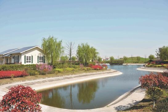 【治國理政新實踐·江蘇篇】黨員引領 群眾支持 “移風易俗新風”讓“彩禮滿桌”變“清新撲面”