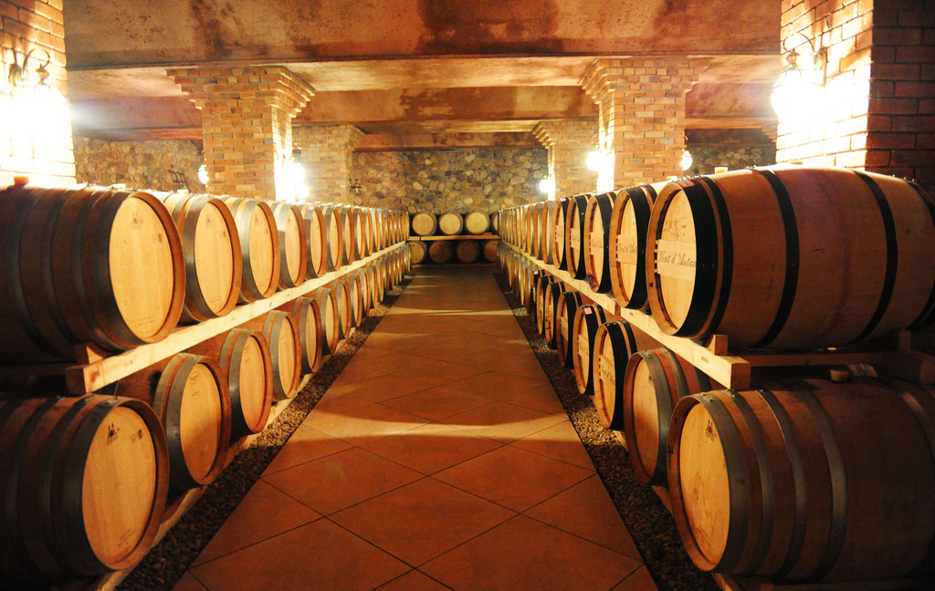 跟隨習主席的腳步，一起到阿根廷看一看！