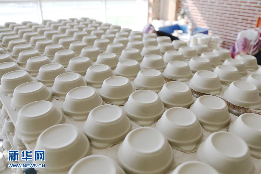 一帶一路·好手藝｜土耳其彩瓷藝術