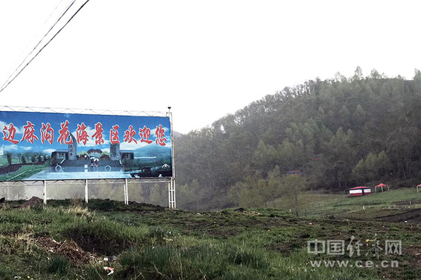 【金記者扶貧日記】荒坡變花海 邊麻溝村火了