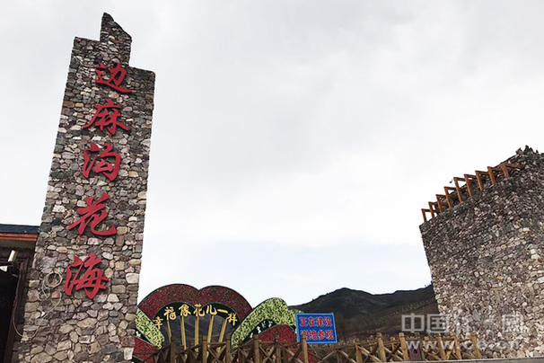 【金記者扶貧日記】荒坡變花海 邊麻溝村火了