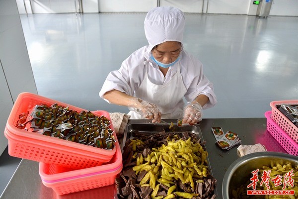 [湖南十大農業品牌]新晃黃牛：如何真正“牛”起來?