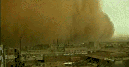 英國小哥到河北塞罕壩避暑，竟意外收獲了一個美麗的故事丨好運中國