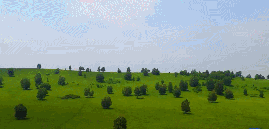 英國小哥到河北塞罕壩避暑，竟意外收獲了一個美麗的故事丨好運中國