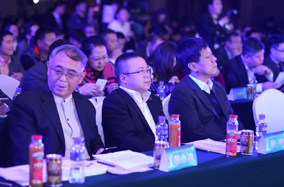 2015第三屆中國國際地產華表獎圓滿落幕