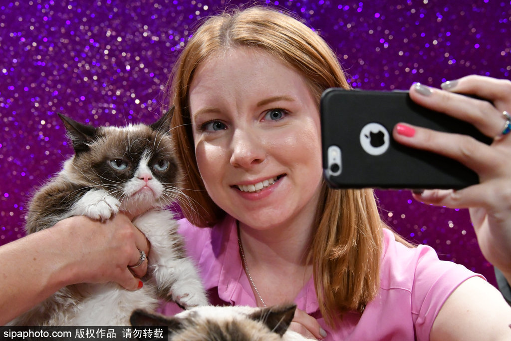 倫敦：著名“不爽貓”蠟像亮相杜莎館 與本尊合影傻傻分不清楚