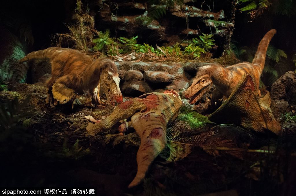 英國恐龍展超逼真 彷佛回到侏羅紀