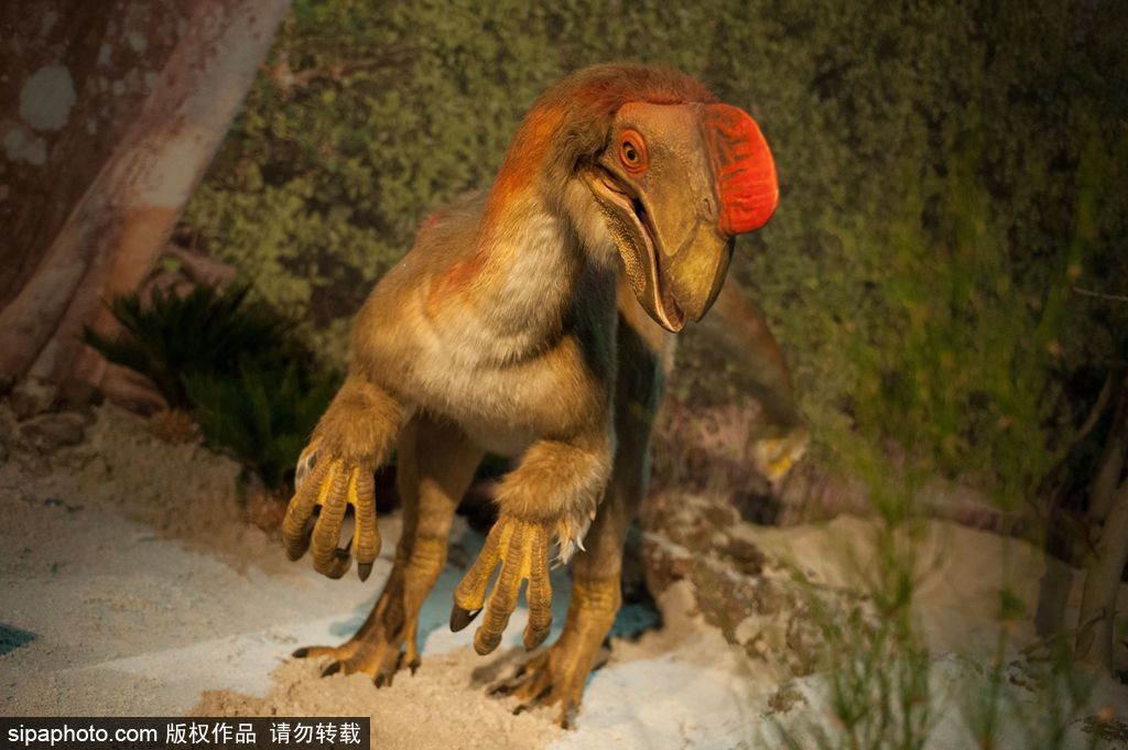 英國恐龍展超逼真 彷佛回到侏羅紀(jì)