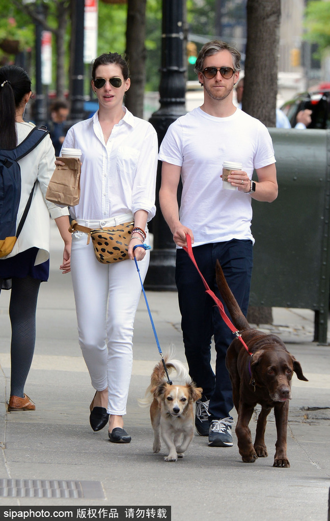 盤(pán)點(diǎn)：“星級(jí)”鏟屎官與汪星人的溫馨日常