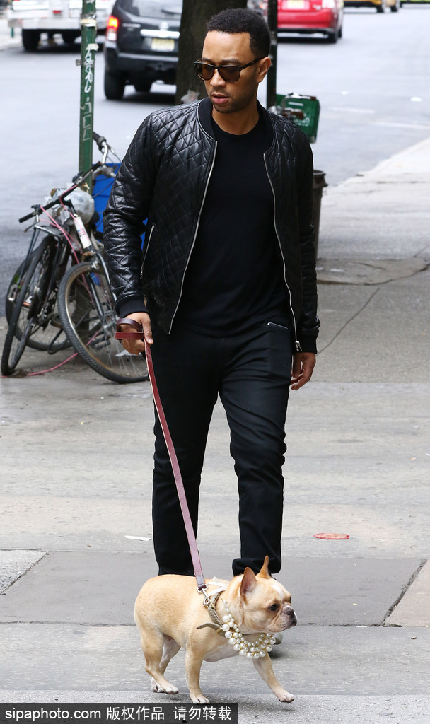 盤點：“星級”鏟屎官與汪星人的溫馨日常