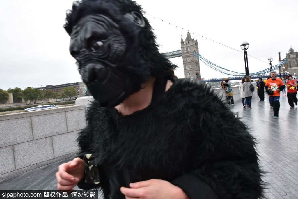 英國舉辦“大猩猩”慈善跑 人扮猩猩獻(xiàn)愛心募款