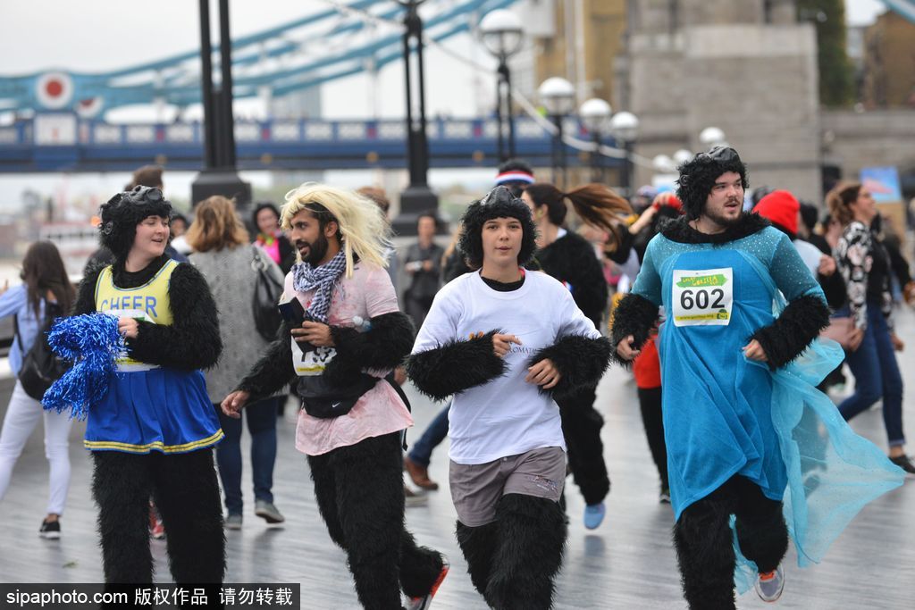 英國(guó)舉辦“大猩猩”慈善跑 人扮猩猩獻(xiàn)愛(ài)心募款