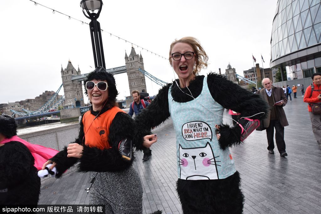 英國舉辦“大猩猩”慈善跑 人扮猩猩獻愛心募款