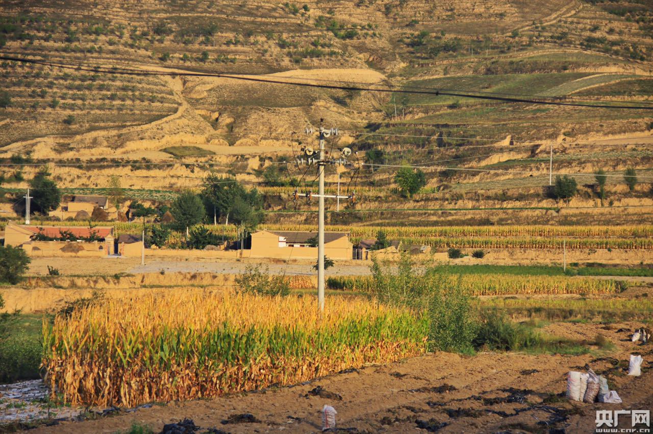 【網絡媒體“走轉改”】育產業、促脫貧：周灣村的精準扶貧