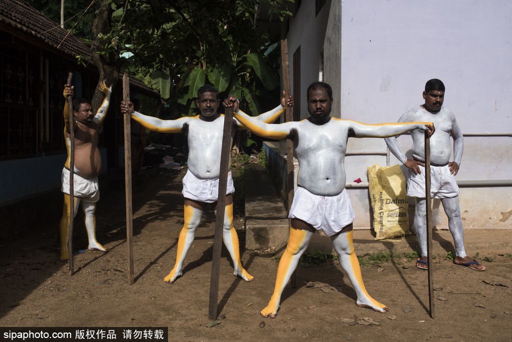 印度傳統(tǒng)虎舞的臺(tái)前幕后 表演者用顏料涂滿(mǎn)全身化身“猛虎”