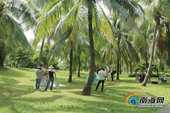 天涯海角婚拍基地引全國融媒體記者爭相留影
