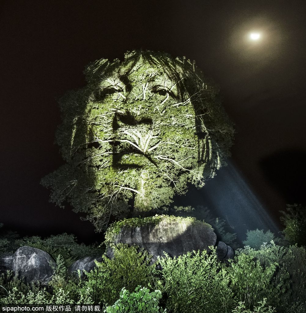 巴西熱帶雨林的投影 攝影師打造震撼光影涂鴉提倡環保