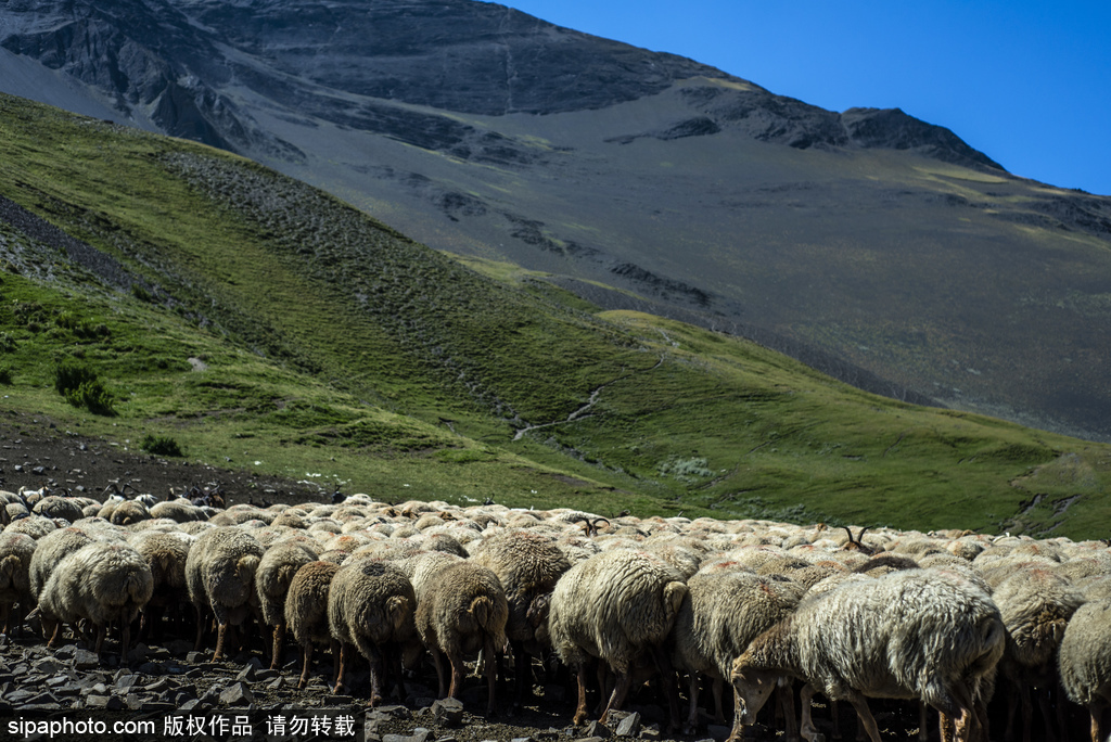 高加索深山里的古老村莊 原生態淳樸生活愜意悠閑