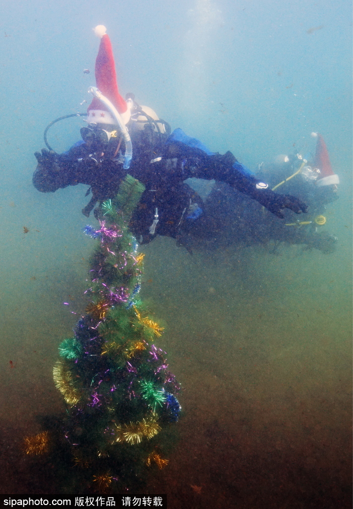 圣誕樹不一定是棵樹 盤點(diǎn)世界上腦洞大開的圣誕樹