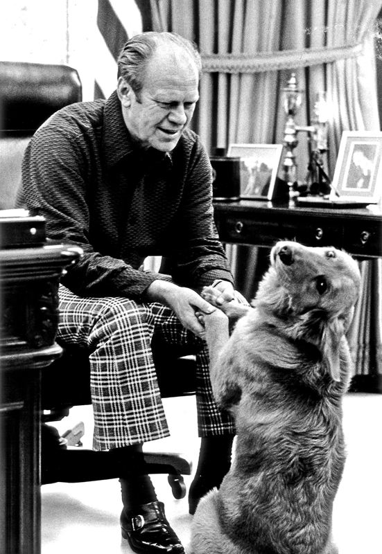 盤點入住白宮的歷任“第一狗狗”