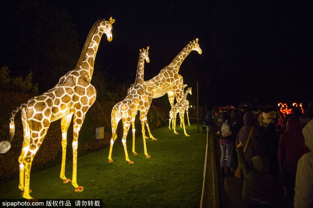 英國超大規模中國巨型燈籠會 豐富動物造型燈飾亮相