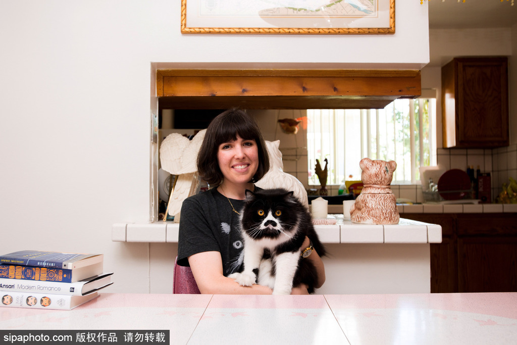 每只喵都是有故事的 貓界“網(wǎng)紅”呆萌瞬間