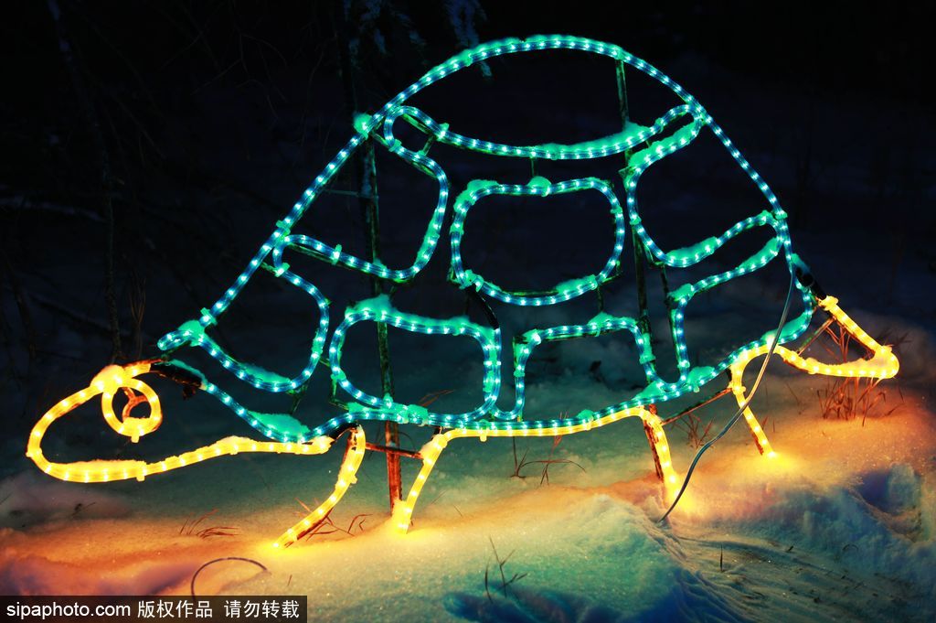 加拿大：卡爾加里公園亮起上萬彩燈迎接圣誕節 造型各異趣味十足