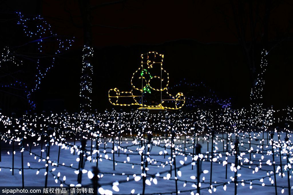 加拿大：卡爾加里公園亮起上萬彩燈迎接圣誕節 造型各異趣味十足