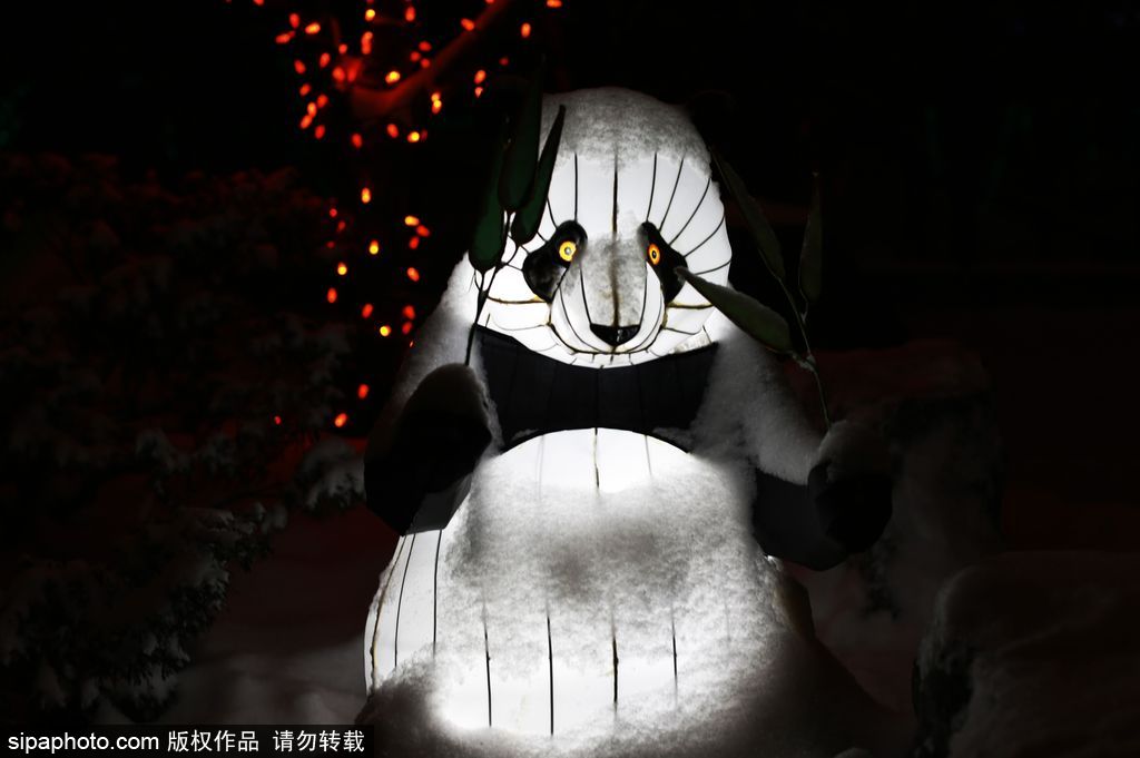 加拿大：卡爾加里公園亮起上萬彩燈迎接圣誕節(jié) 造型各異趣味十足