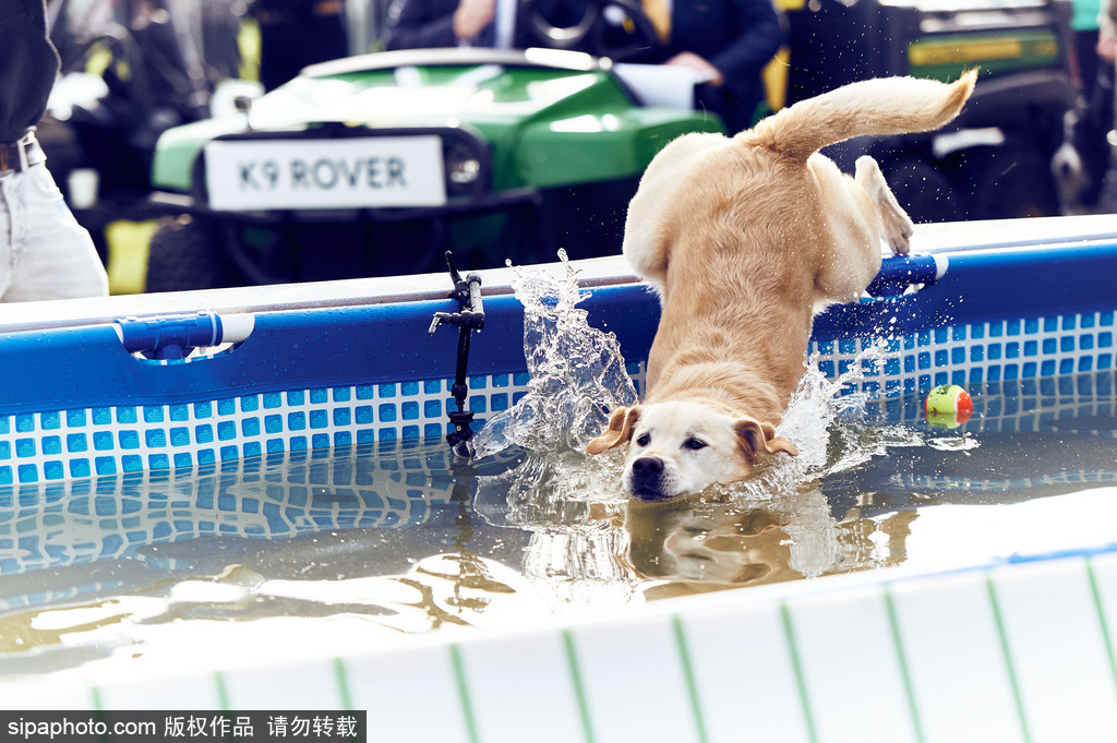 腦洞大過天！盤點全球各類奇葩比賽