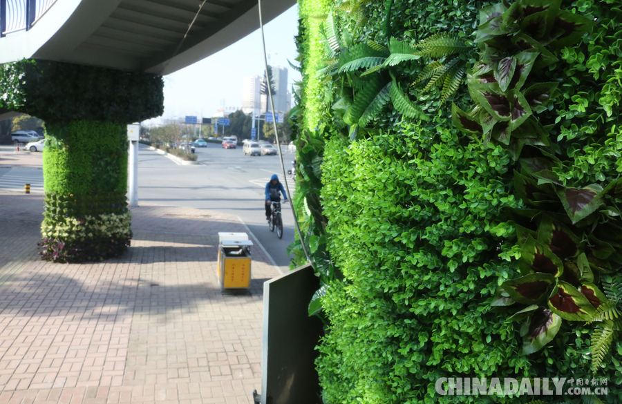 合肥“最美”過街天橋 生機(jī)盎然引人駐足