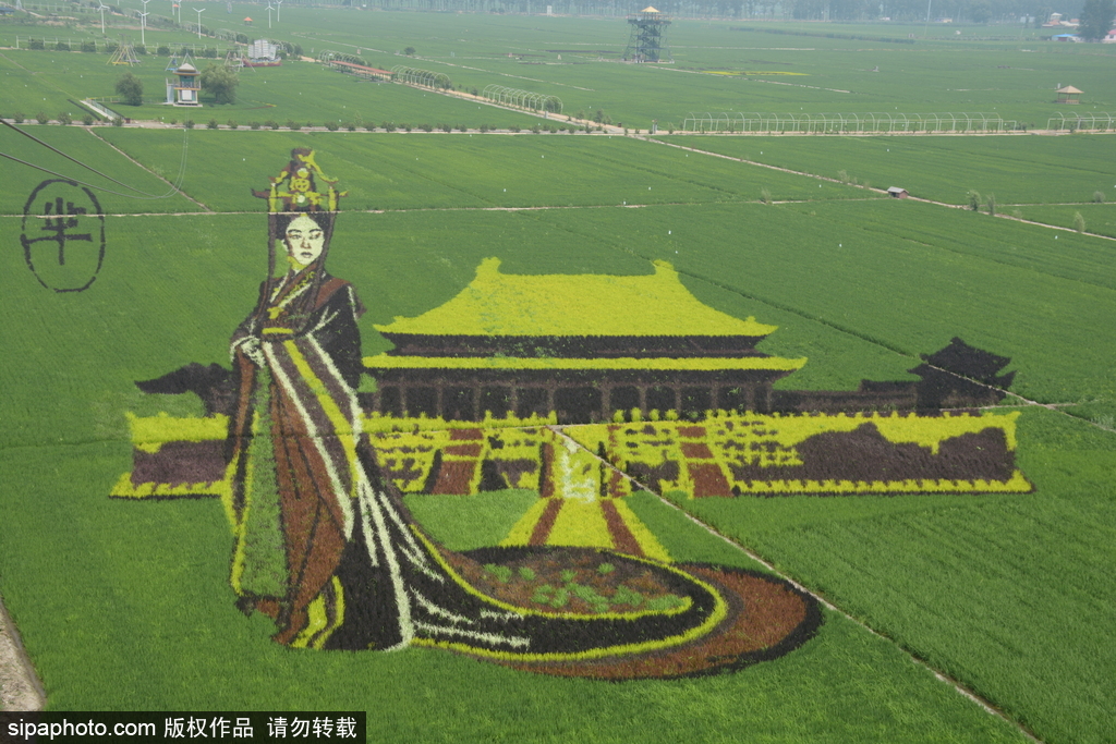 春回大地草木萌動 盤點(diǎn)那些農(nóng)田光景返樸歸真