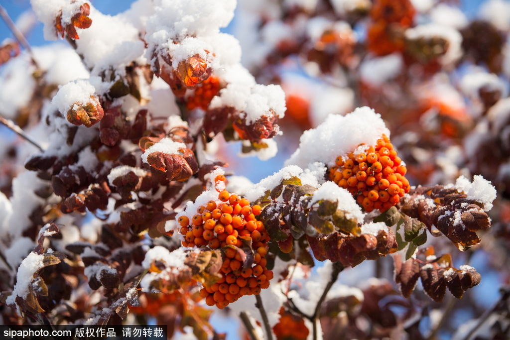 盤點俄羅斯鄂木斯克美景 意境朦朧似童話世界