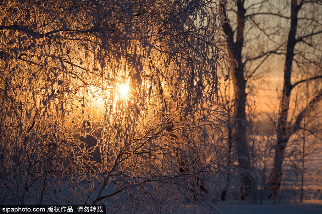 盤點俄羅斯鄂木斯克美景 意境朦朧似童話世界