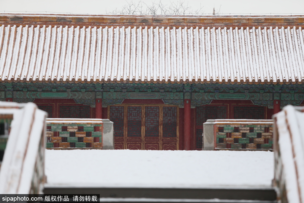 北京“鵝毛大雪”如約而至 故宮雪景美如畫(huà)