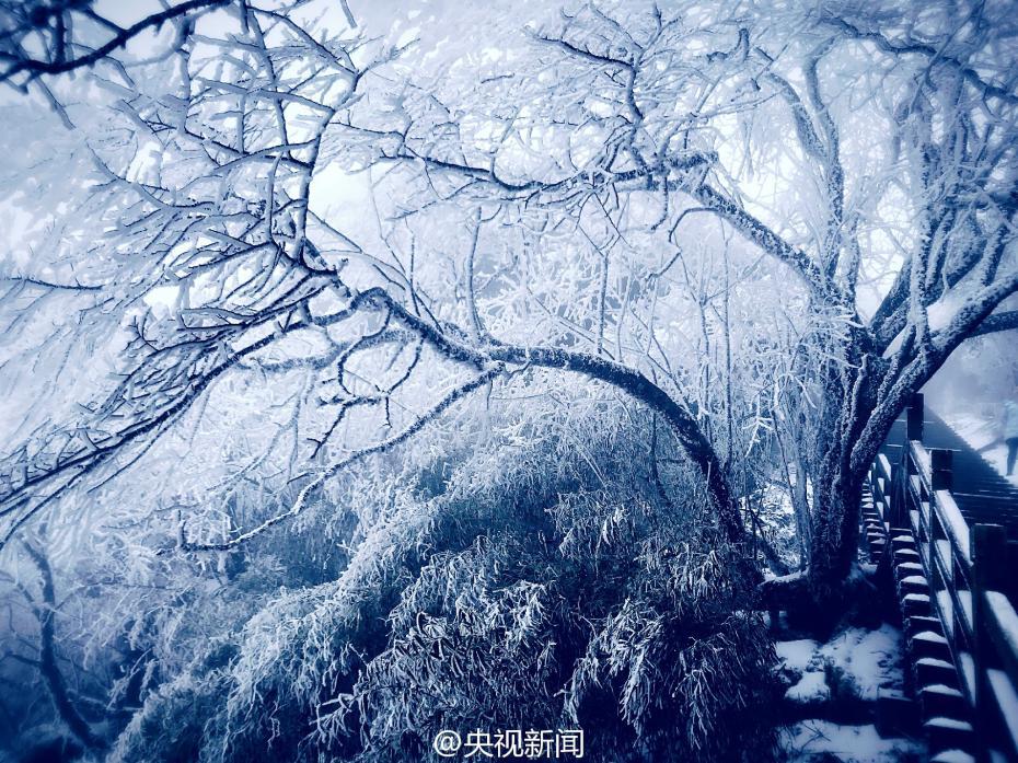 貴州梵凈山現霧凇美景 宛如仙境（組圖）