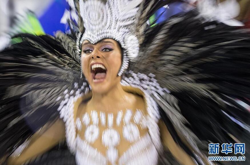 巴西雨中狂歡節