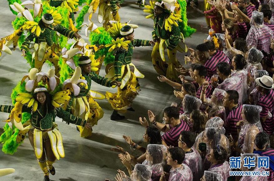 巴西雨中狂歡節