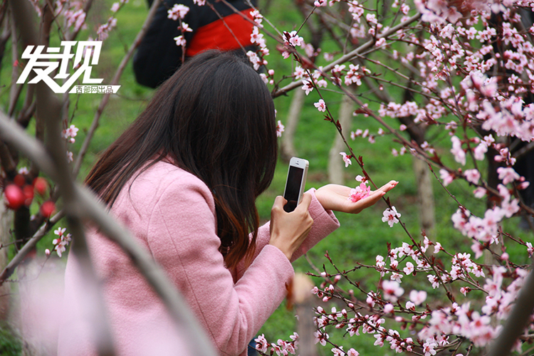 《三生三世》已完結(jié) 西安附近哪里能去看桃花？