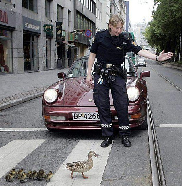 人間自有真情在！鏡頭記錄全球溫情瞬間（組圖）