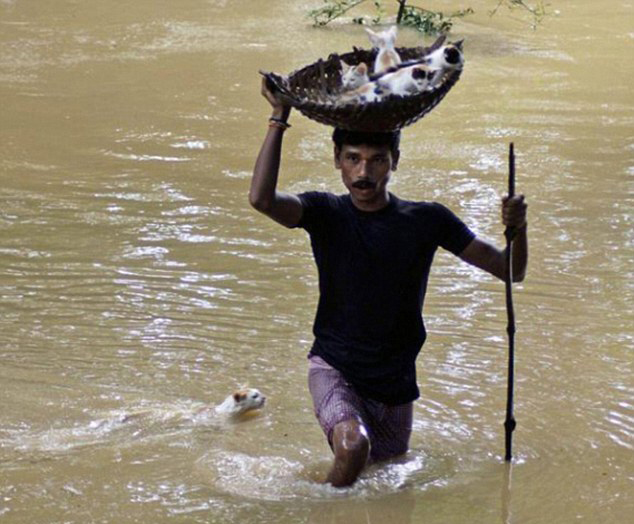人間自有真情在！鏡頭記錄全球溫情瞬間（組圖）